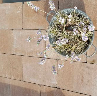 Lanzarote cobblestone