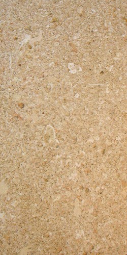 Stone A. Cut fossil